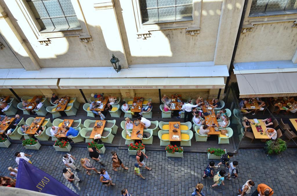 Pension Karlova Praga Habitación foto
